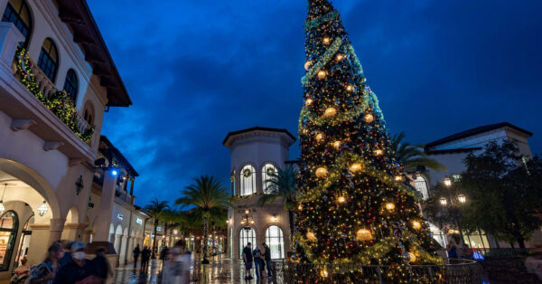 フロリダディズニー happily ever after オーナメント 【公式通販】