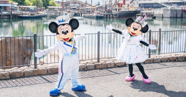 Disney - フラッグシップ東京 WDW 50周年 ミッキー ミニー フィギュア