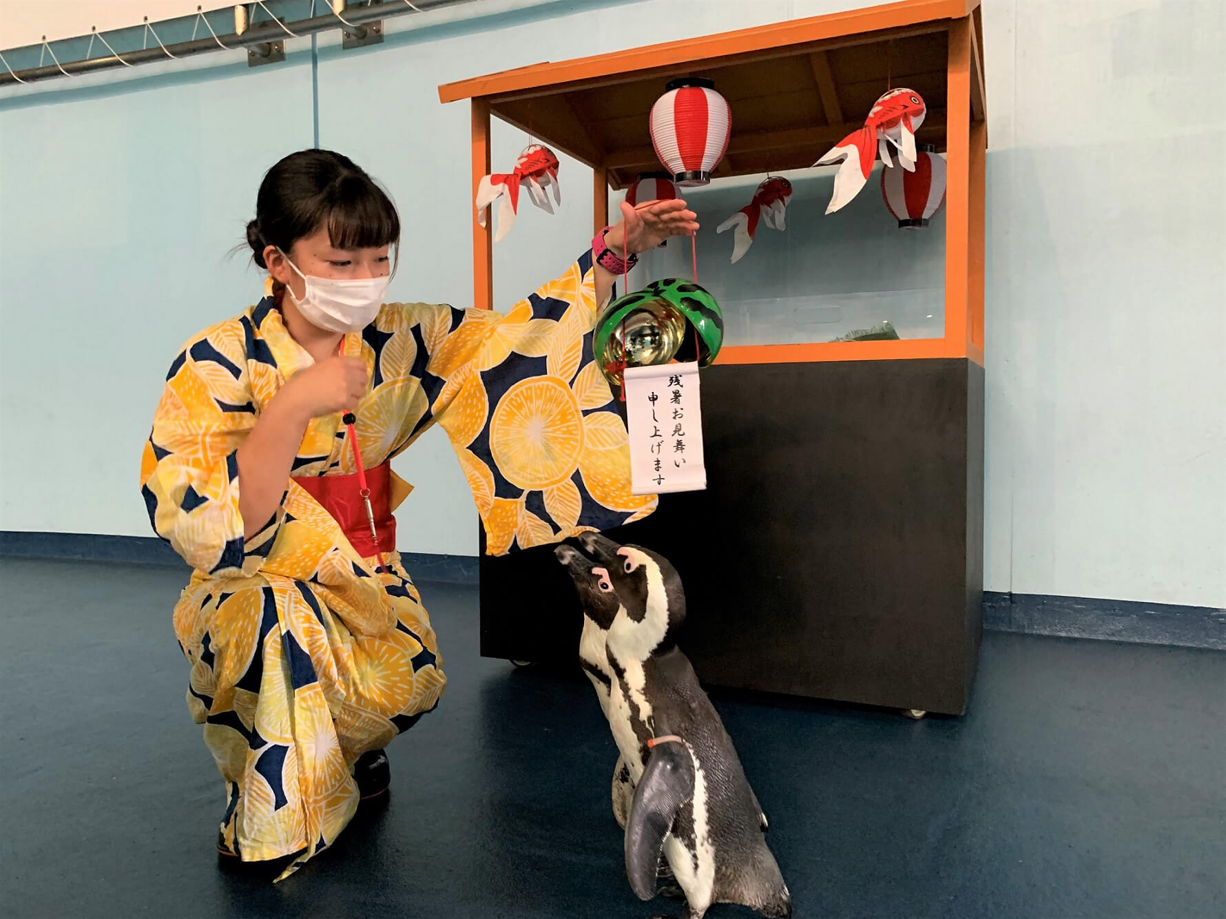 品川 水族館 浴衣 販売