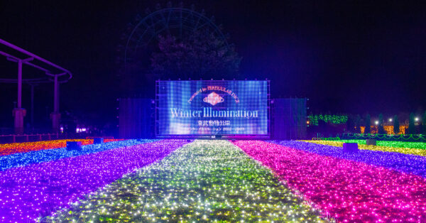 東武動物公園「いれいす」コラボイルミネーション オリジナル楽曲でショーを公演｜あとなびマガジン