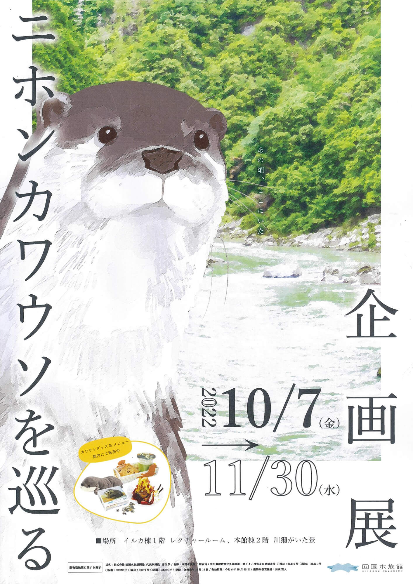 Amazon.co.jp: 送220円 限定品! 四国水族館「アカシュモクザメ