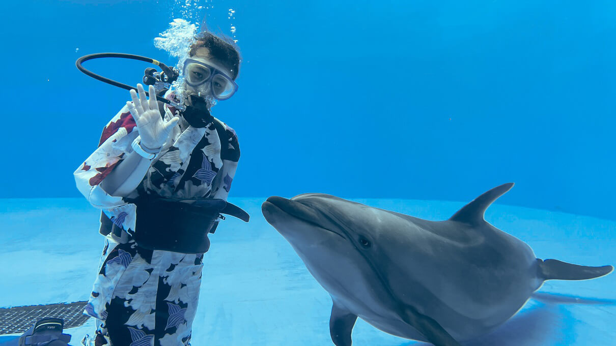 ディズニーシー 手作りガラスのイルカとダイバー 【公式通販】