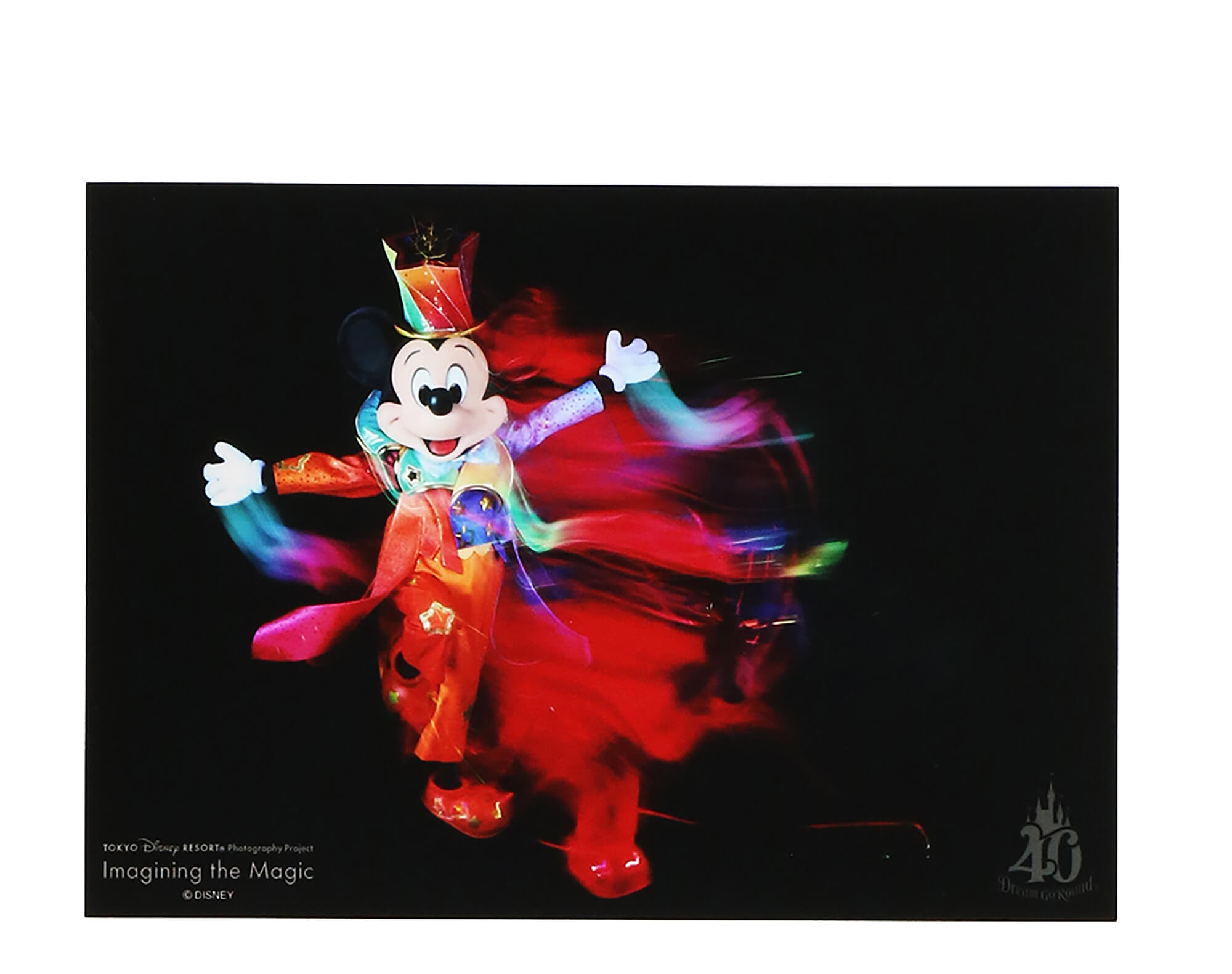 レア ディズニー イマジニングザマジック アート パネル