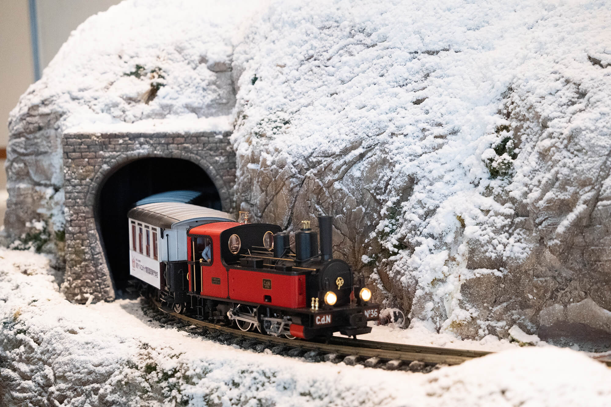 ダンバリーミント エムアンドエムズ クリスマス トレイン 列車