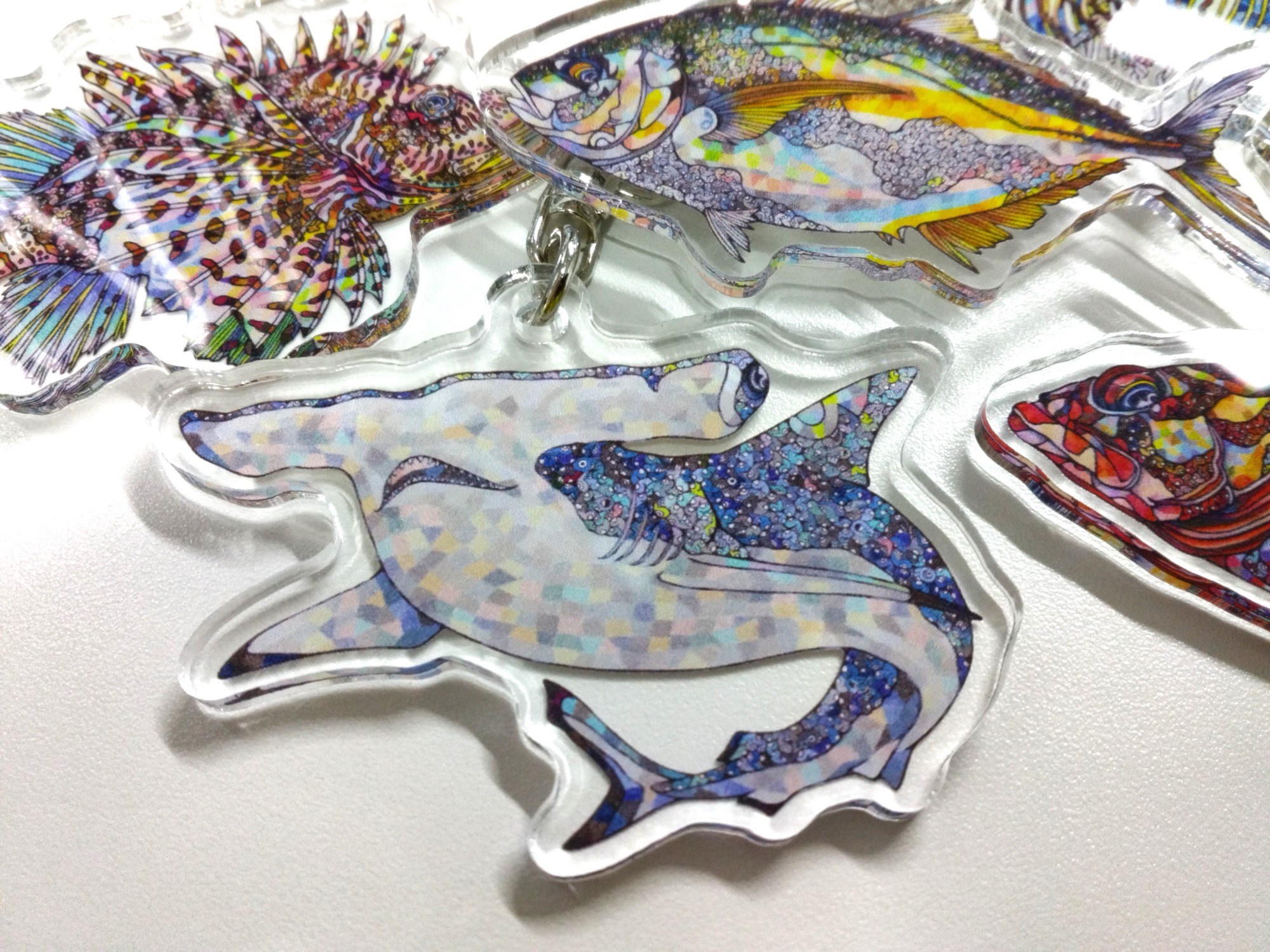 にぼしアーティストNAMIKOコラボグッズを四国水族館が発売｜あとなび