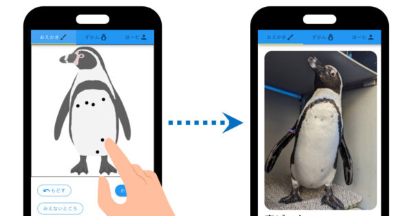 ペンギン様確認用 ぬりえ感覚でペンギンを識別 日本初「ペンギン個体識別システム