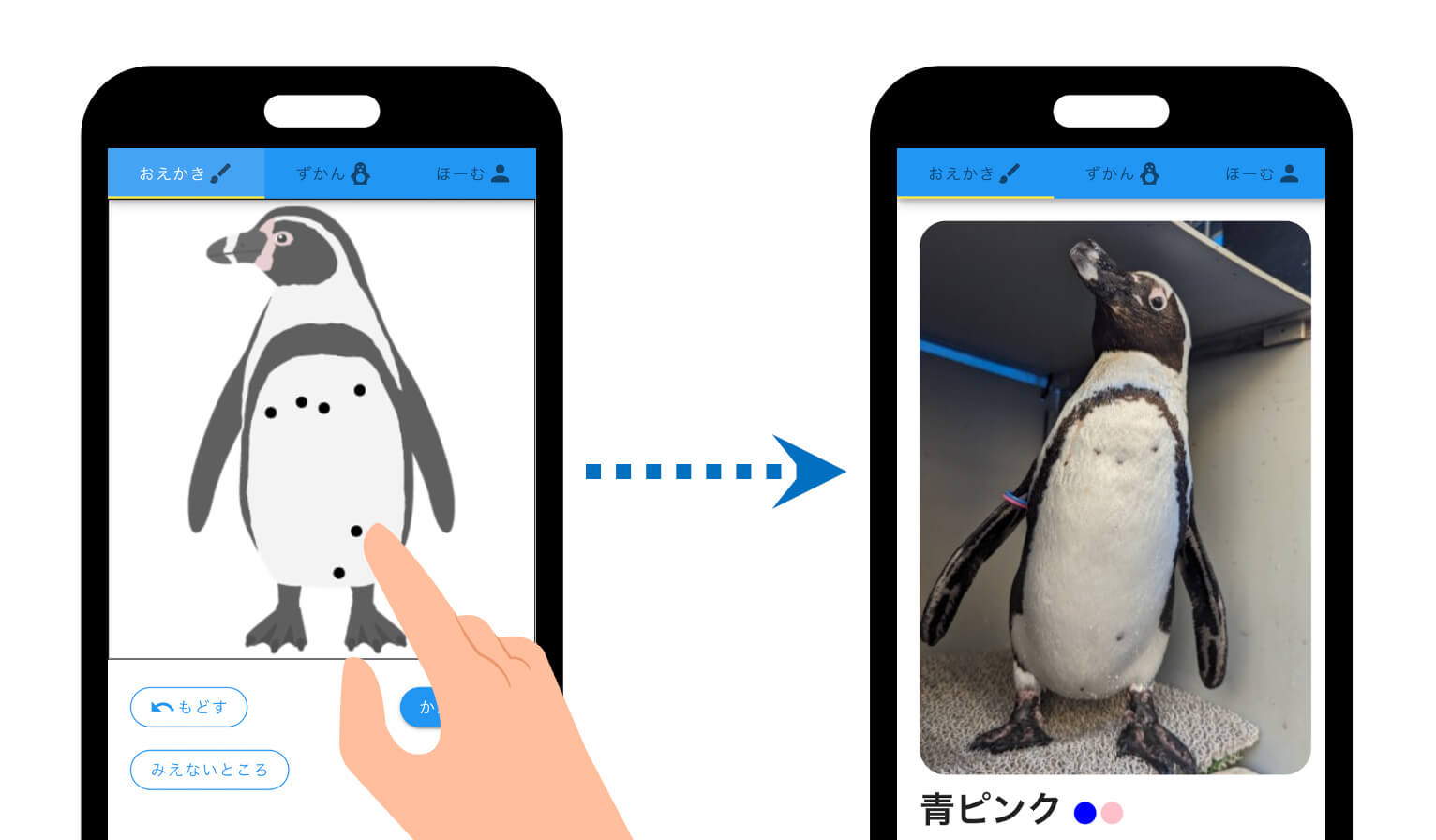 ペンギン様確認用 ぬりえ感覚でペンギンを識別 日本初「ペンギン個体識別システム