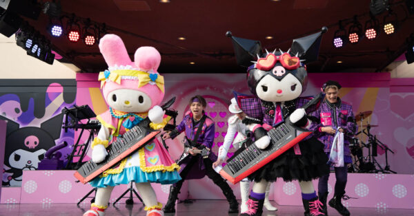 DSC05270-600x314.jpg
