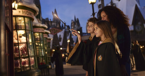 【オーランド限定】ハリーポッター 第二世代　魔法の杖 2025 オーランド ハリー・ポッター エリアで購入したお土産 2025年6月