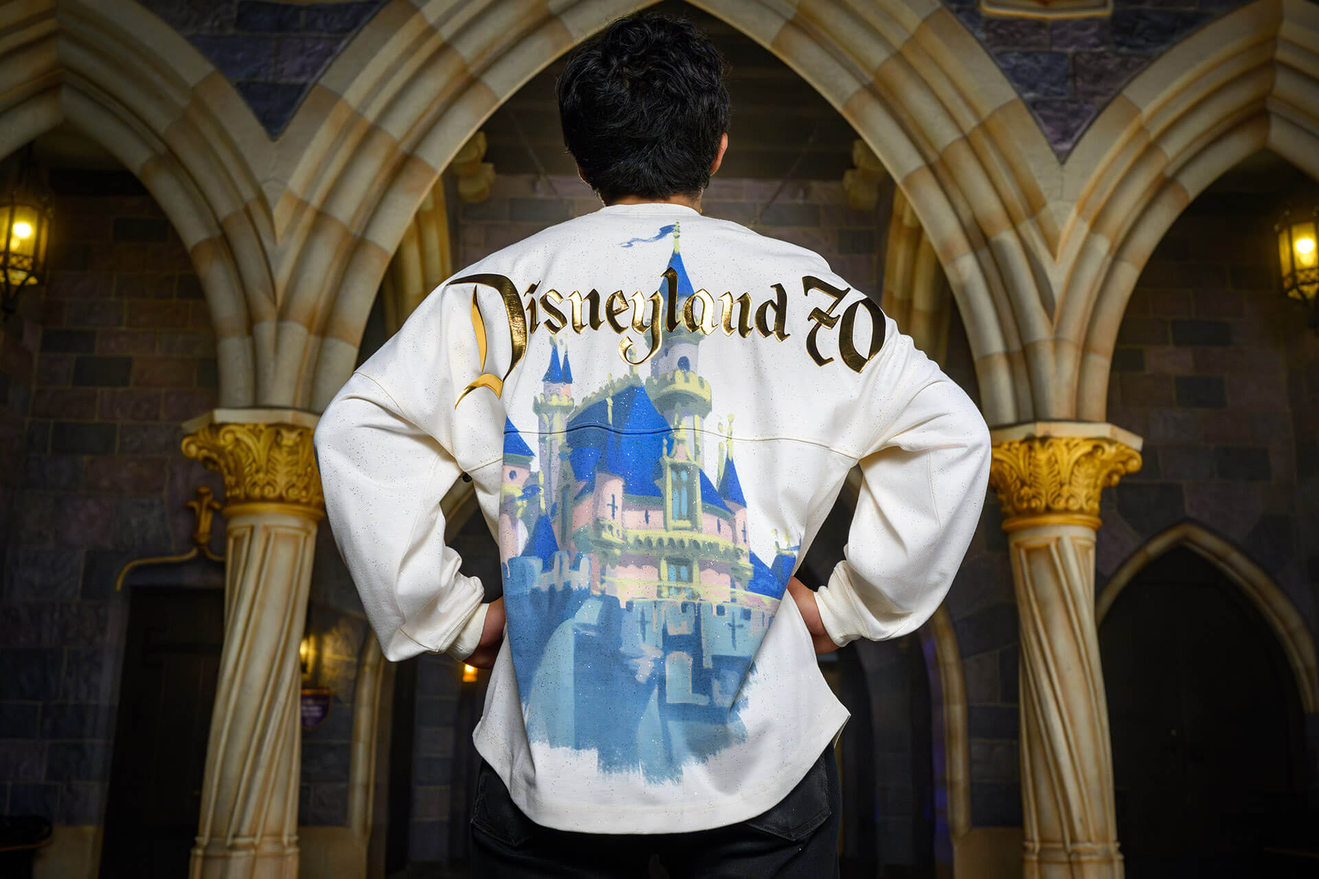 ディズニーランド70周年グッズ ミッキー、お城、ウォルトなどの