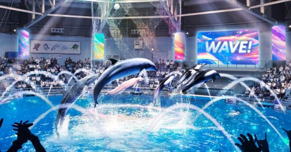 新品アクアドルナ アクアドエア9番 25年2月購入 NOUVEAU - アクアピア