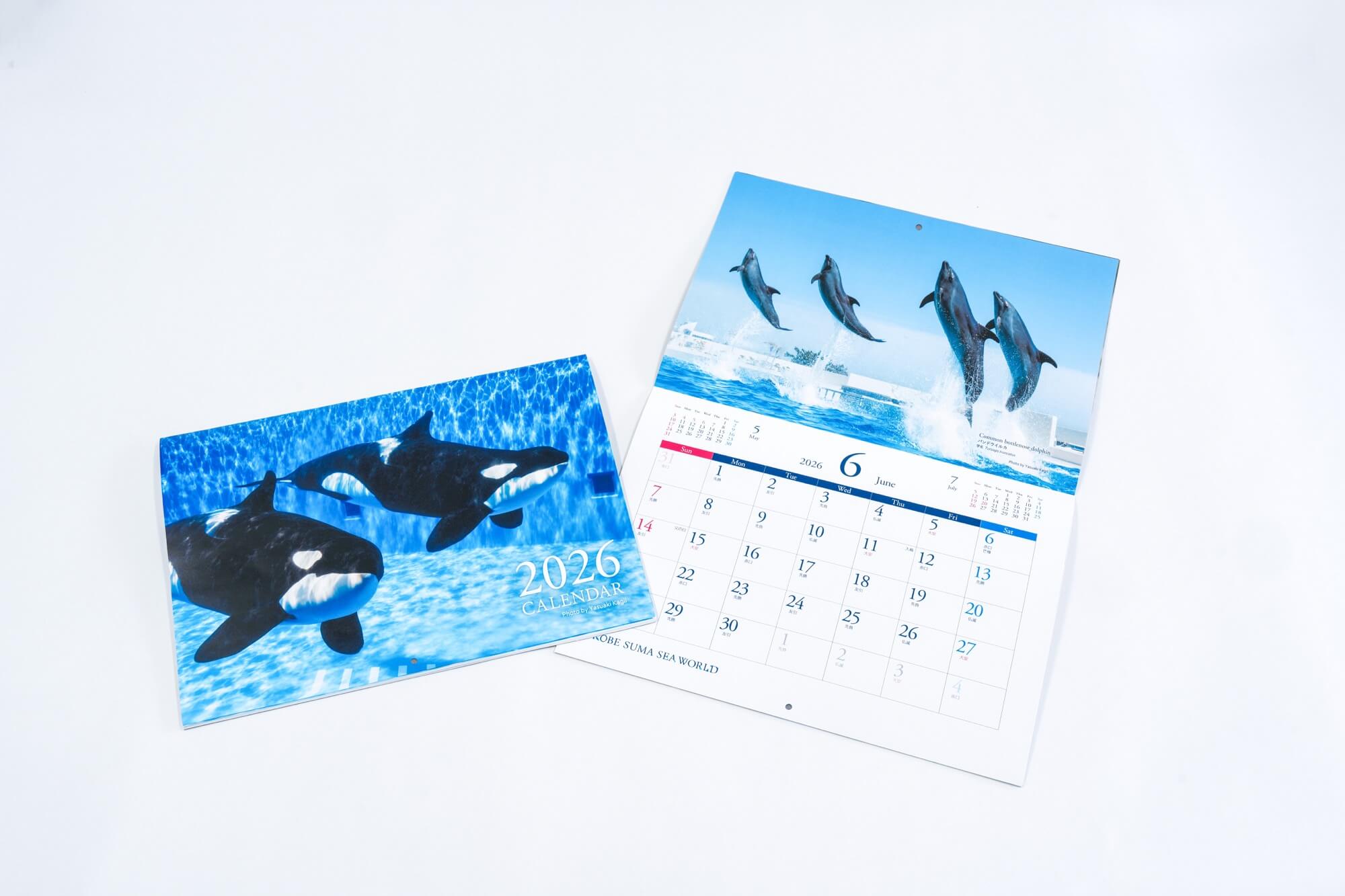 井戸垣 磨生 Vagabond Motorsports Fender Eliminator - Kawasaki Ninja ZX-6R (2013-20