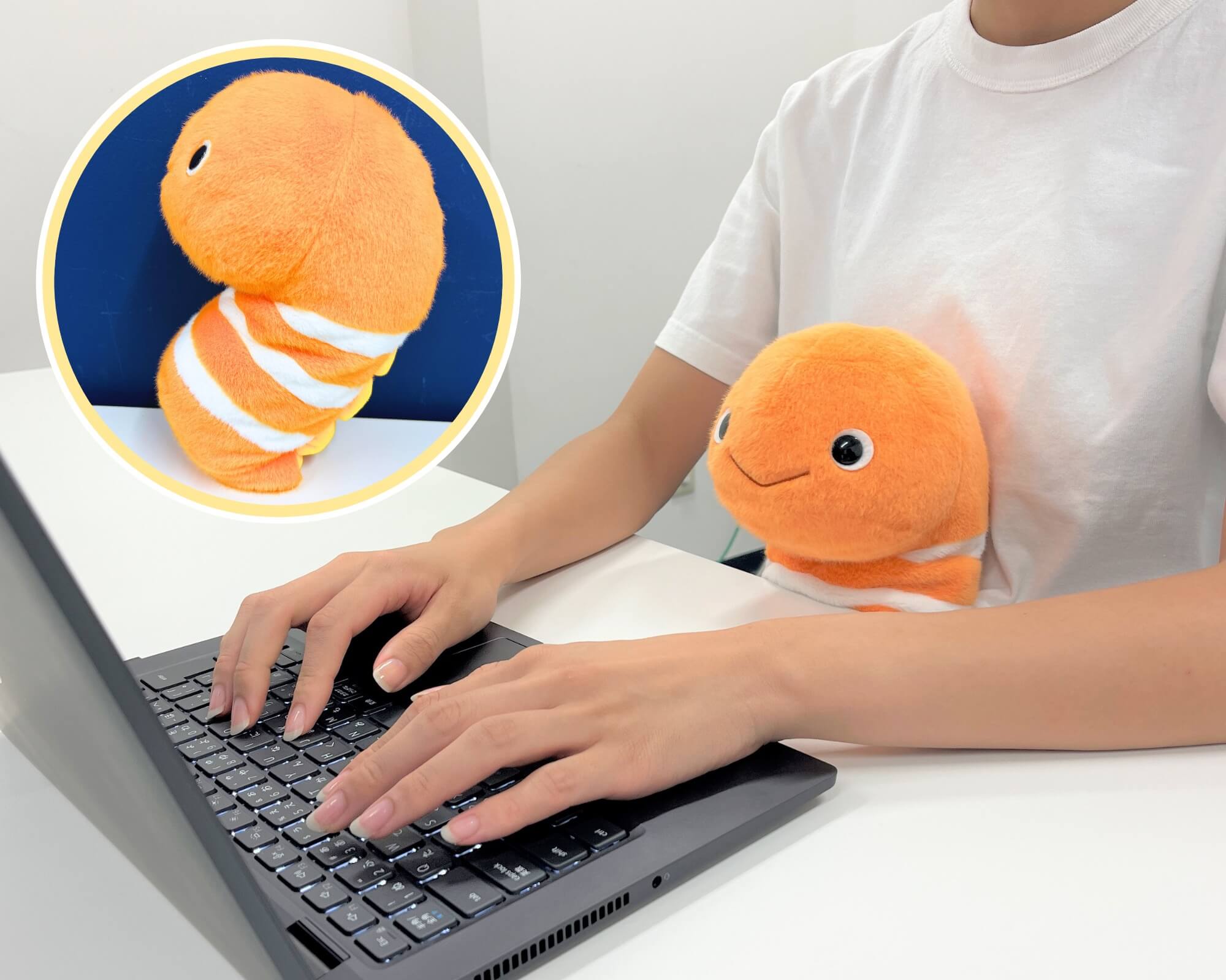 すみだ水族館でチンアナゴの日イベント「そこらじゅうにチンアナゴ