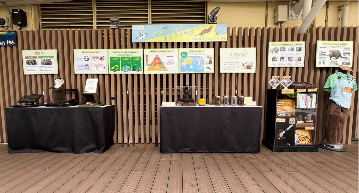 カワウソの臭いや鳴き声を感じる新展示 サンシャイン水族館「世界