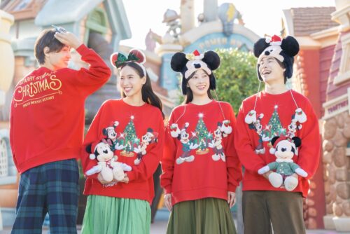 ⑲ 巾着 Disney クリスマス　ディズニーランド　ミッキー 東京ディズニーリゾート「ディズニー・クリスマス」グッズ公開